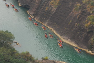 小驳骨有什么功效？
