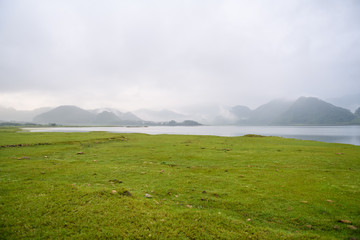 植物堆起来发热的原因