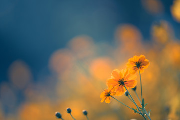 别墅庭院设计风格主要有哪几种