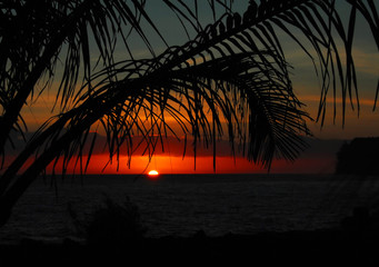 假如你是一名护士 想进儿科的理由和工作思路