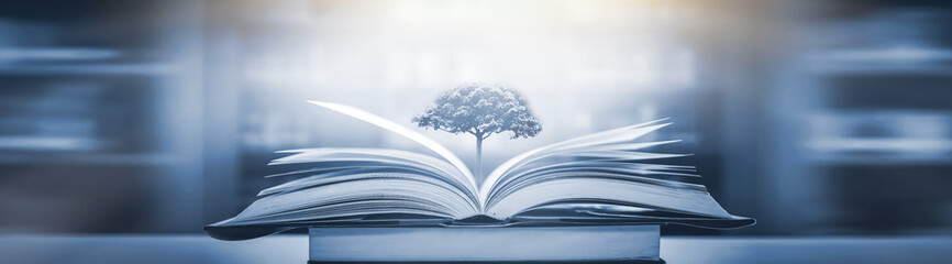 假如你是一名护士 想进儿科的理由和工作思路