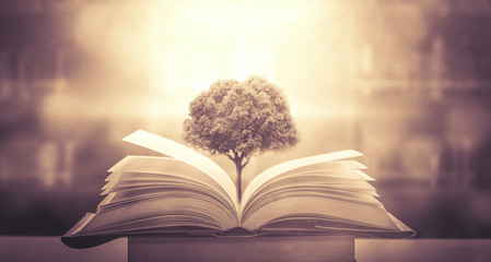 外国是怎么过清明节的？