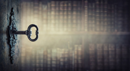 俄罗斯怎么可能有桉树