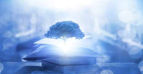 外国是怎么过清明节的？