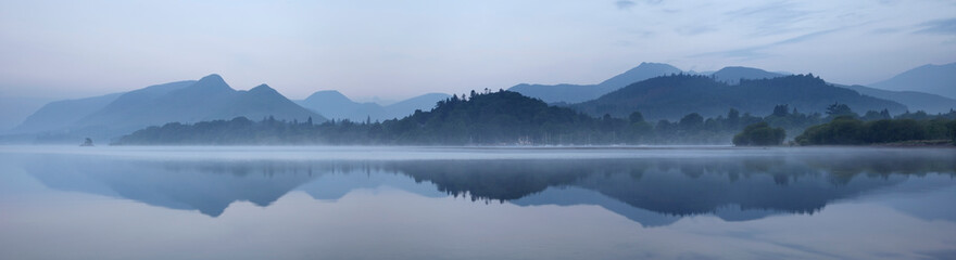 俄罗斯怎么可能有桉树