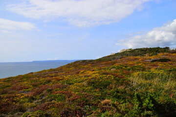 别墅庭院设计风格主要有哪几种