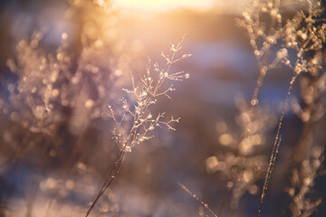 植物堆起来发热的原因