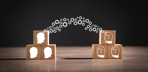 俄罗斯怎么可能有桉树