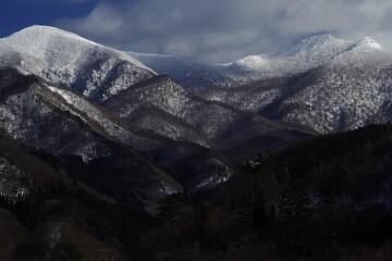 假如你是一名护士 想进儿科的理由和工作思路