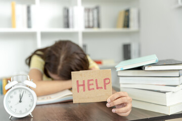 俄罗斯怎么可能有桉树