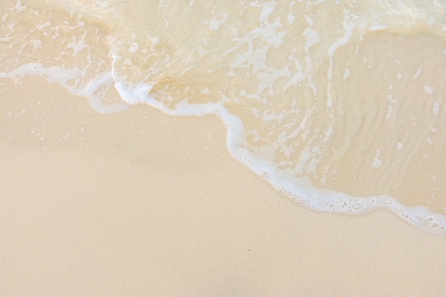 小驳骨有什么功效？