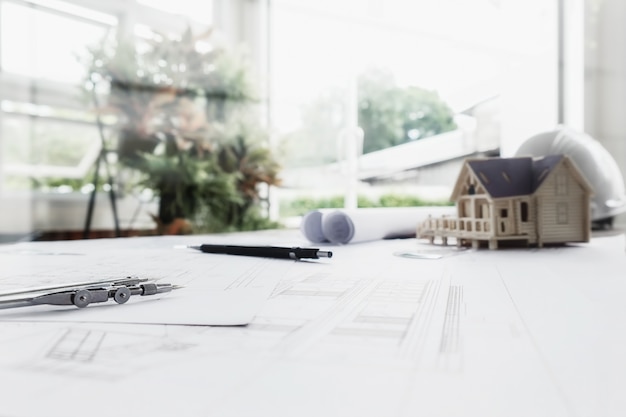 俄罗斯怎么可能有桉树