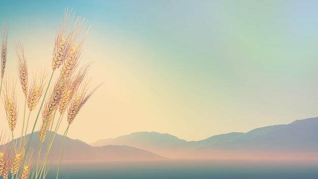 外国是怎么过清明节的？