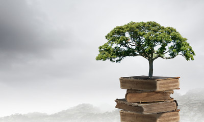 原神教令院小问题隐藏成就