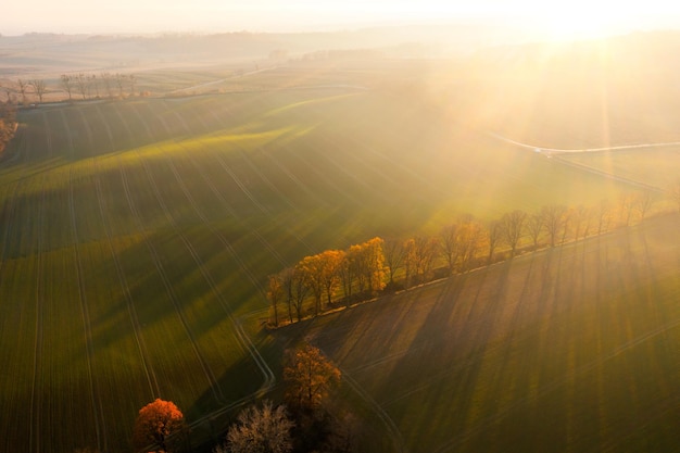 假如你是一名护士 想进儿科的理由和工作思路