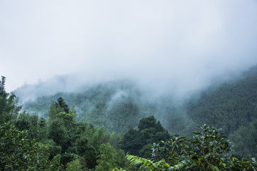 外国是怎么过清明节的？